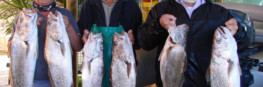 Vlnr is drie Birkenhead Boothengelklublede, Johan Burmeister (wedstrydsekretaris), Lulof Doyer (lid) en Philip Fourie (voorsitter) met 6 van die pragtige kabeljoue wat hulle naby Kleinbaai â€œin die diepâ€ vanaf Johan se boot, Nu-Nu gevang het. In totaal het hulle 15 kabeljoue gevang met gewigte tussen 3kg en 7kg. Dan het hulle ook 6 mooi geelbekke, stokvis en makriel gevang. Jammer vir hierdie boothengelaars dat dit nie â€˜n Birkenhead Boothengelkompetisie was nie - dan sou hulle beslis â€˜n beduidende verskil aan hulle punte vir die einde van die jaar gemaak het!  